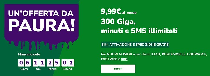 very mobile 300 giga